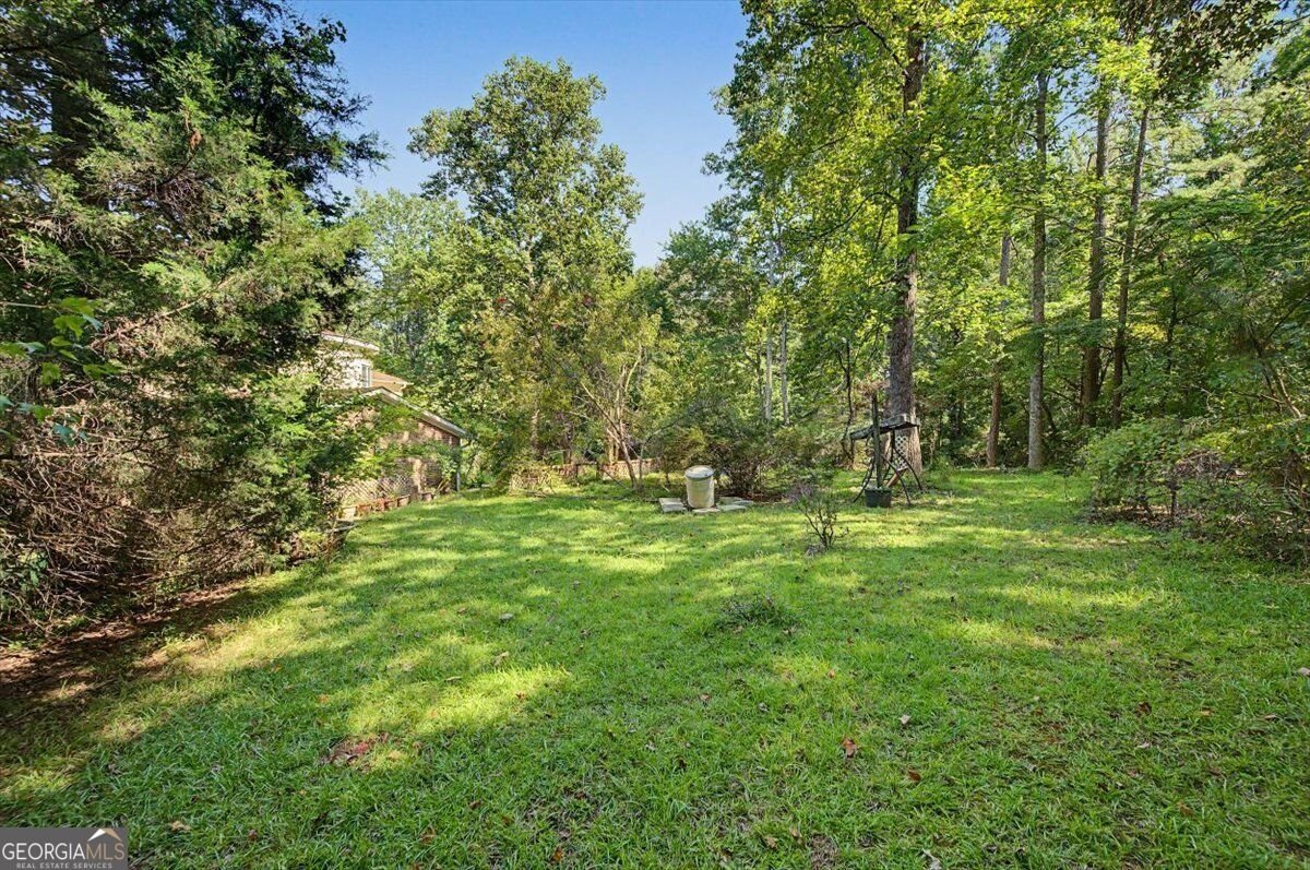 430 Legion Lake Road Villa Rica - Photo 53