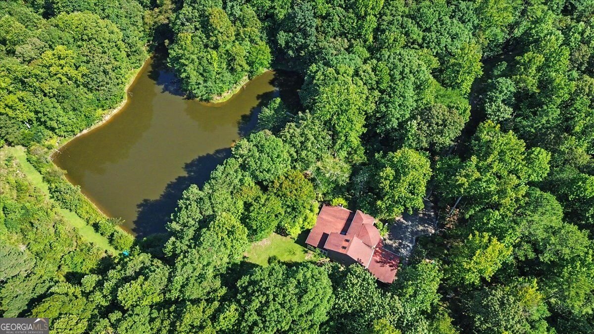 430 Legion Lake Road Villa Rica - Photo 59