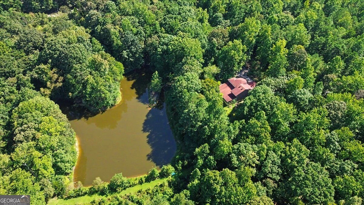 430 Legion Lake Road Villa Rica - Photo 60