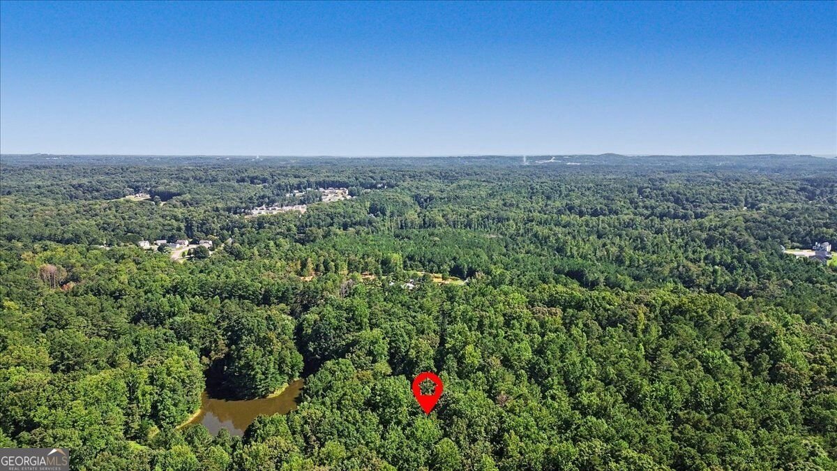 430 Legion Lake Road Villa Rica - Photo 62