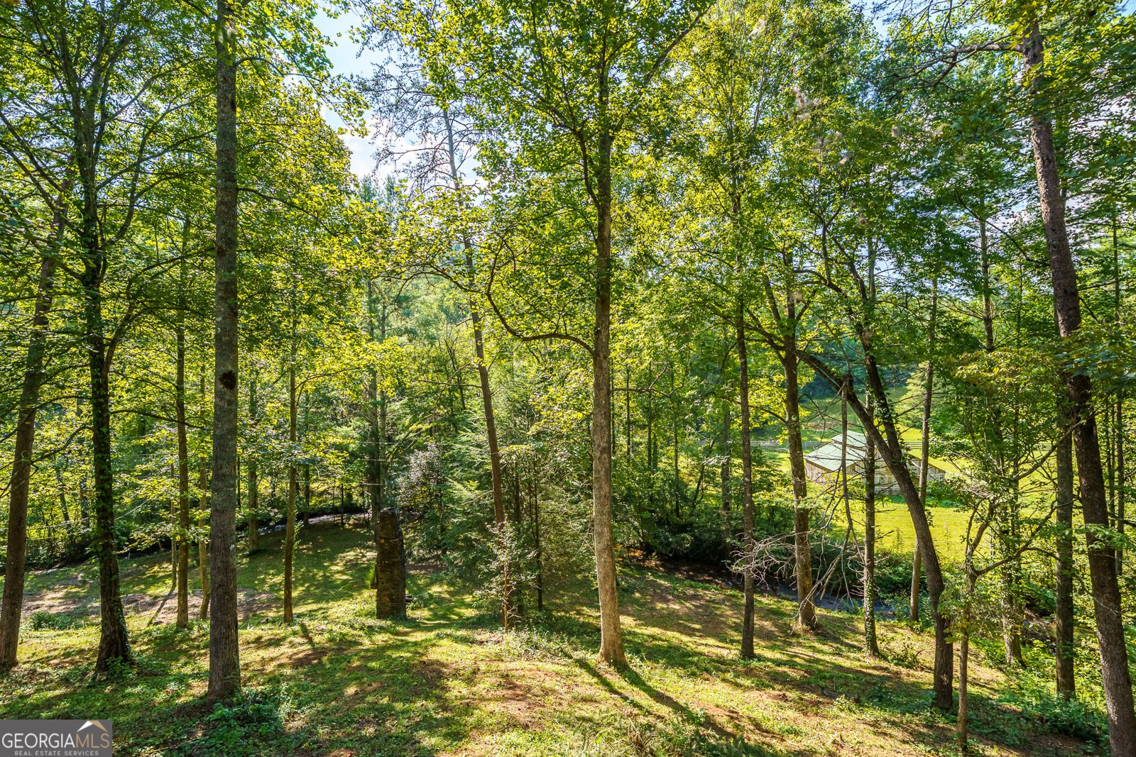 4126 Zion Hill Road Ellijay - Photo 45