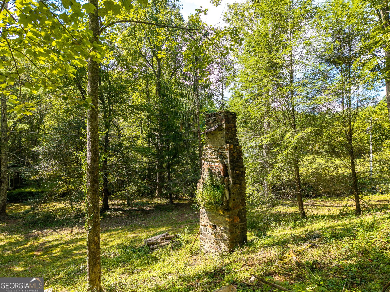 4126 Zion Hill Road Ellijay - Photo 52