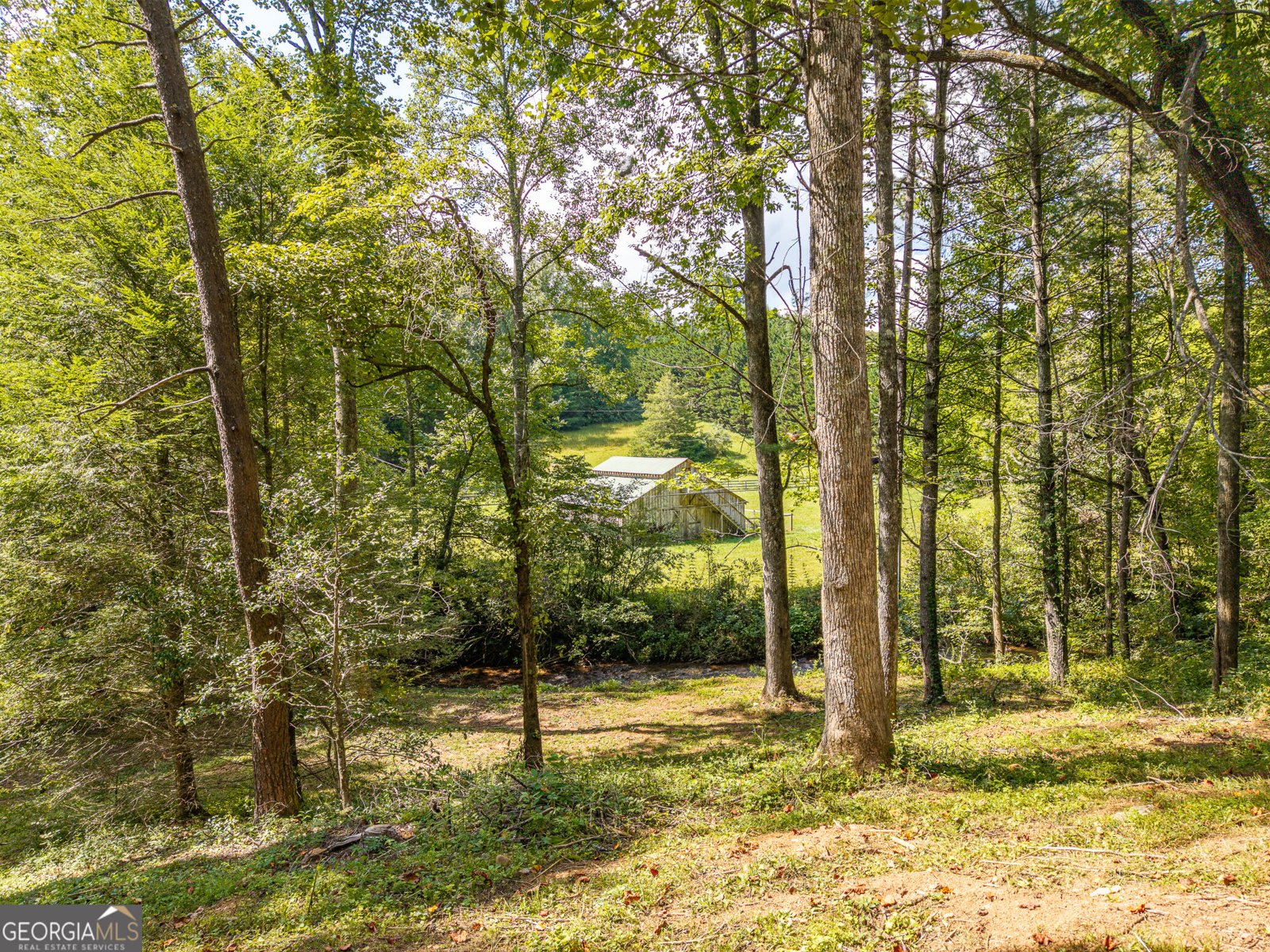 4126 Zion Hill Road Ellijay - Photo 53