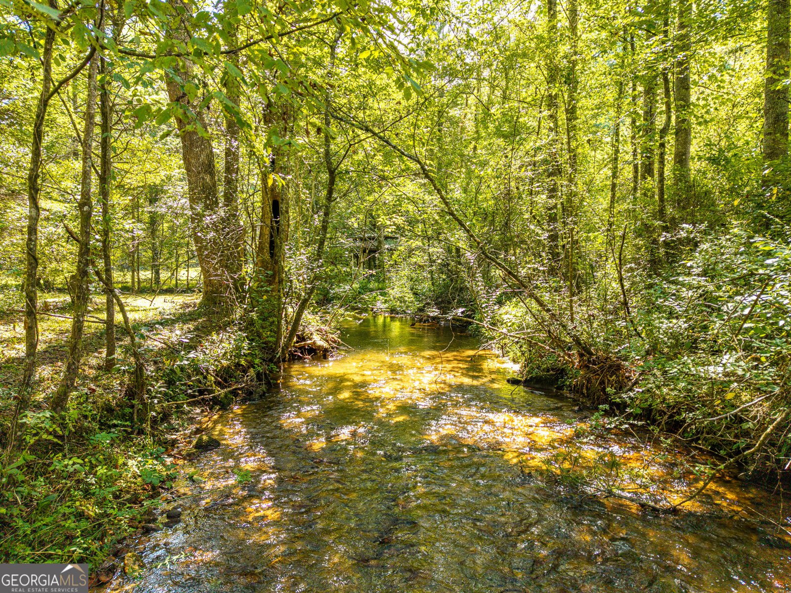 4126 Zion Hill Road Ellijay - Photo 7