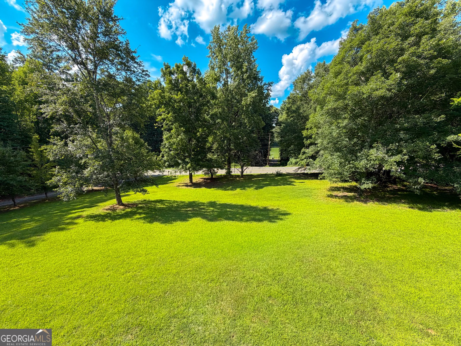 15316 GA HWY 18 Zebulon - Photo 50