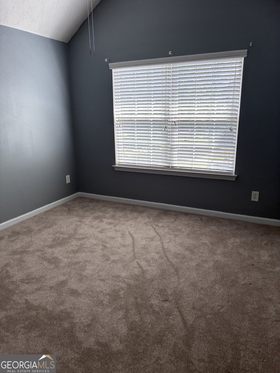 4323 Grove Lake Street Loganville - Photo 30