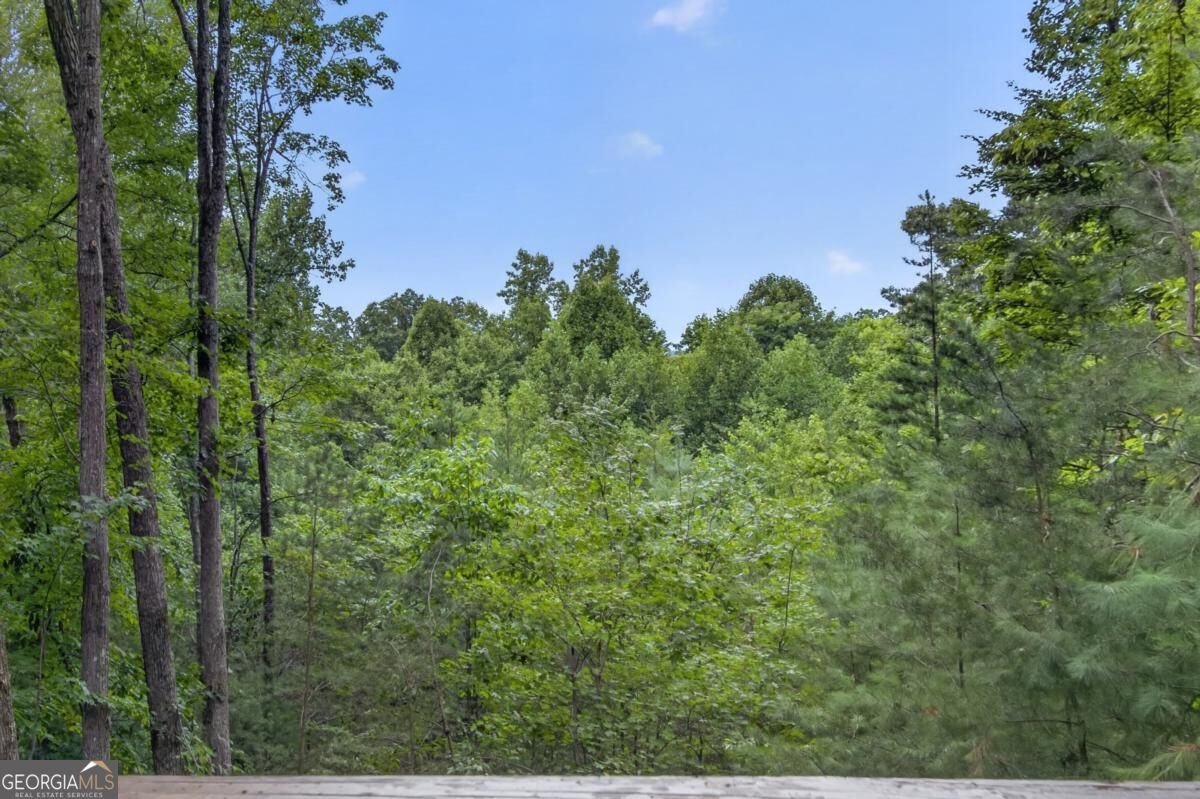 76 Channing Hollow Morganton - Photo 30