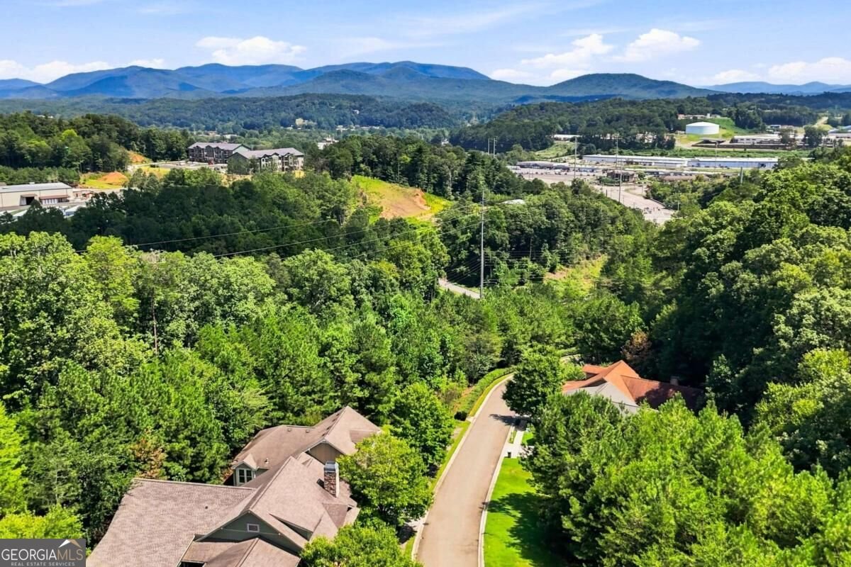 128 Summit View Drive Ellijay - Photo 46