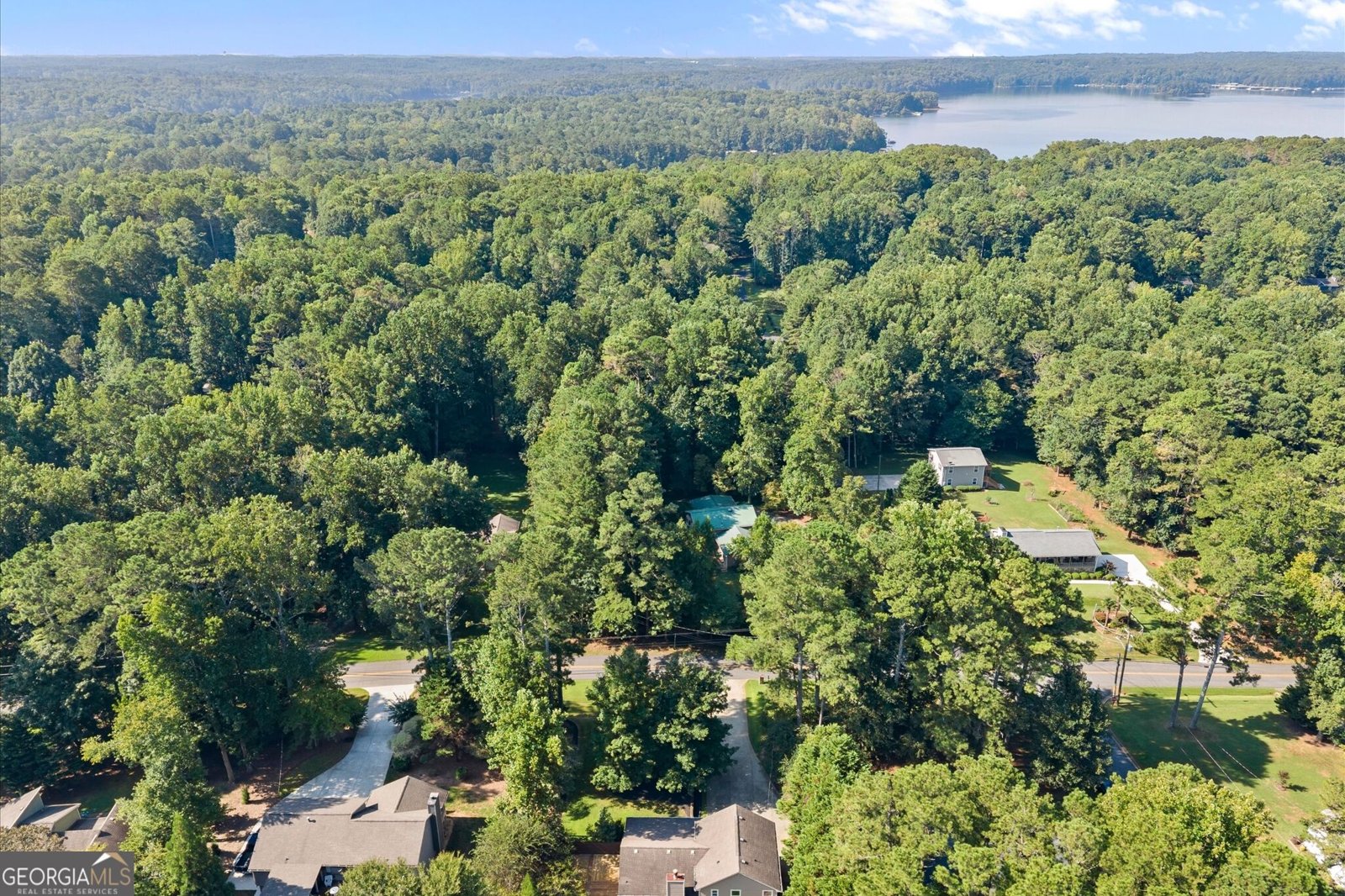 918 Victoria Landing Drive Woodstock - Photo 67