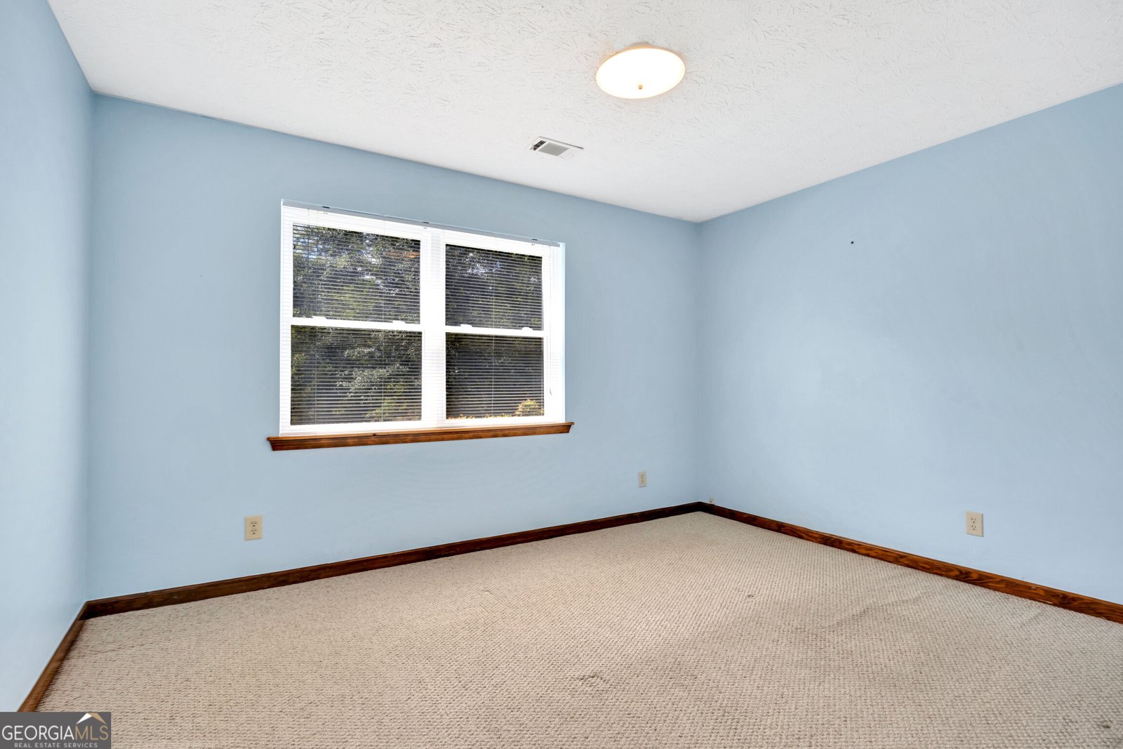 234 Glad Dale Drive Conyers - Photo 30