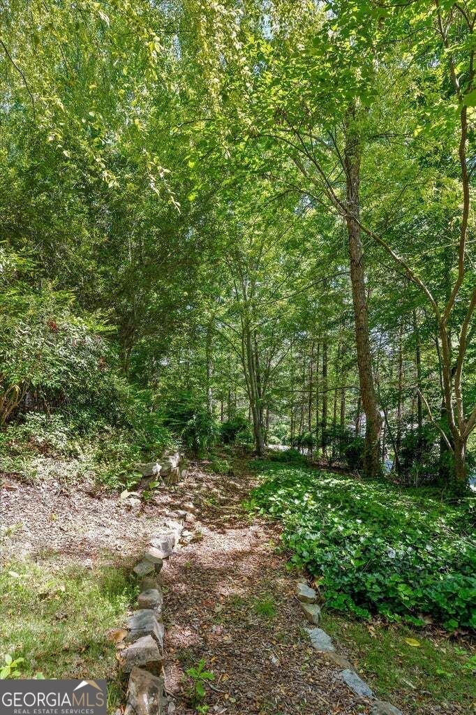 678 Cherokee Lake Drive Ringgold - Photo 42