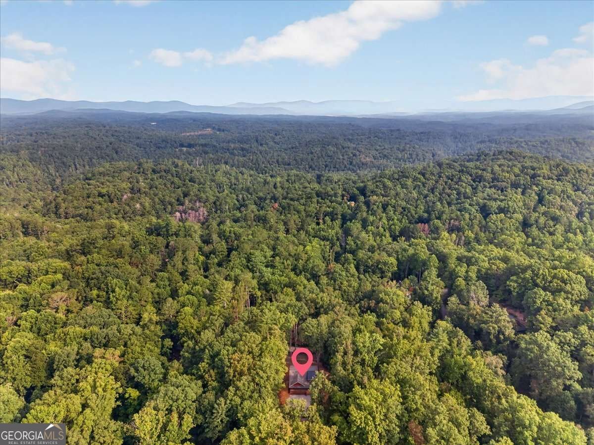 235 Parnell Drive Ellijay - Photo 33
