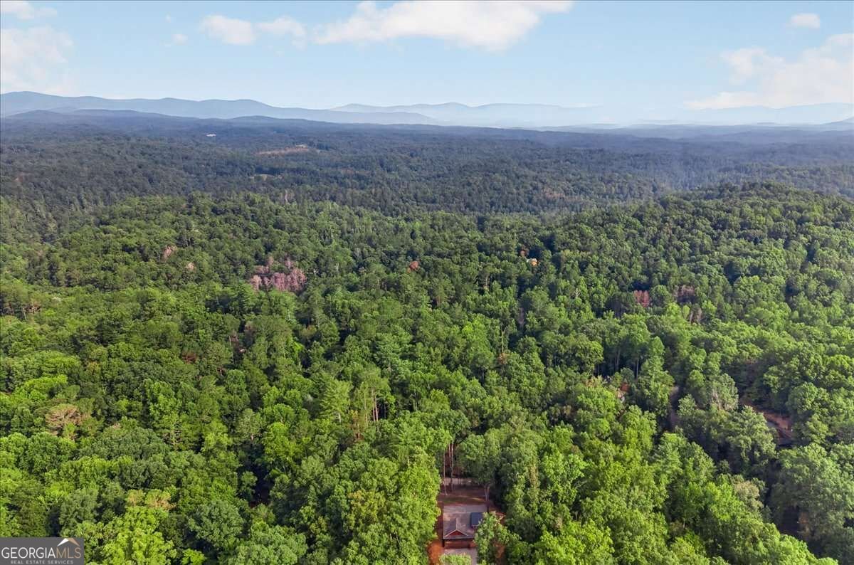 235 Parnell Drive Ellijay - Photo 34