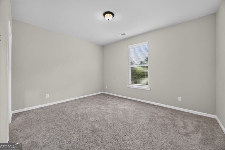 161 Donovan Avenue Locust Grove - Photo 12