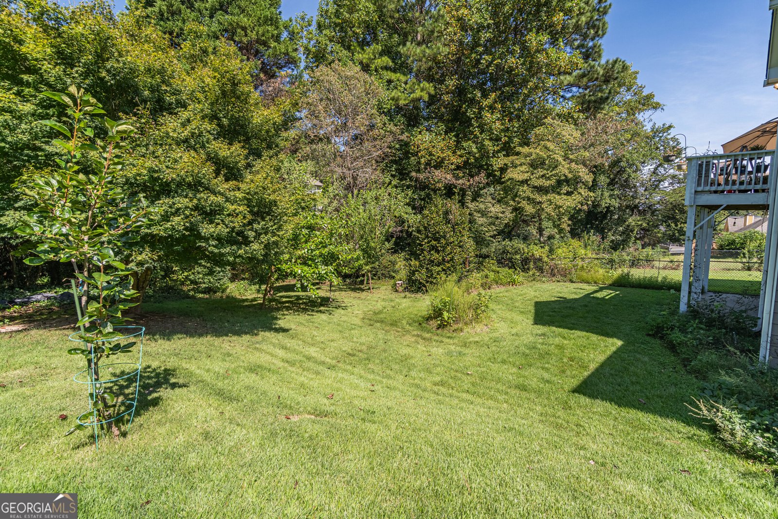 2290 Black Bear Court Buford - Photo 41