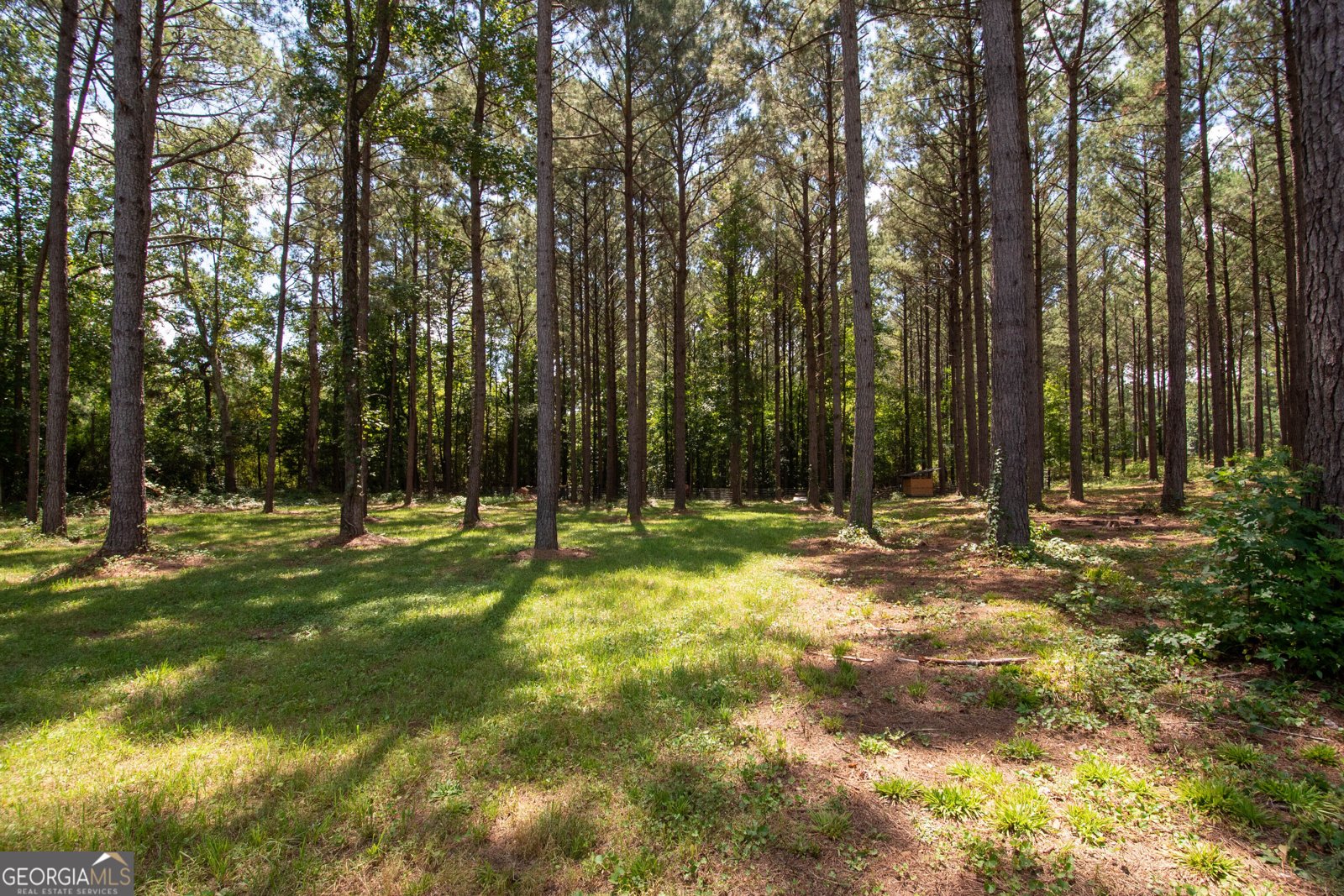 4079 Primrose Road Grantville - Photo 40