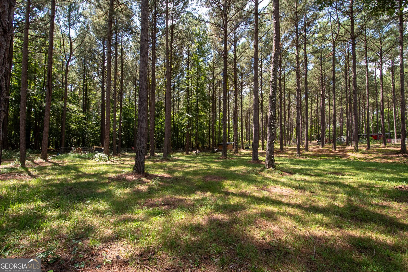 4079 Primrose Road Grantville - Photo 42