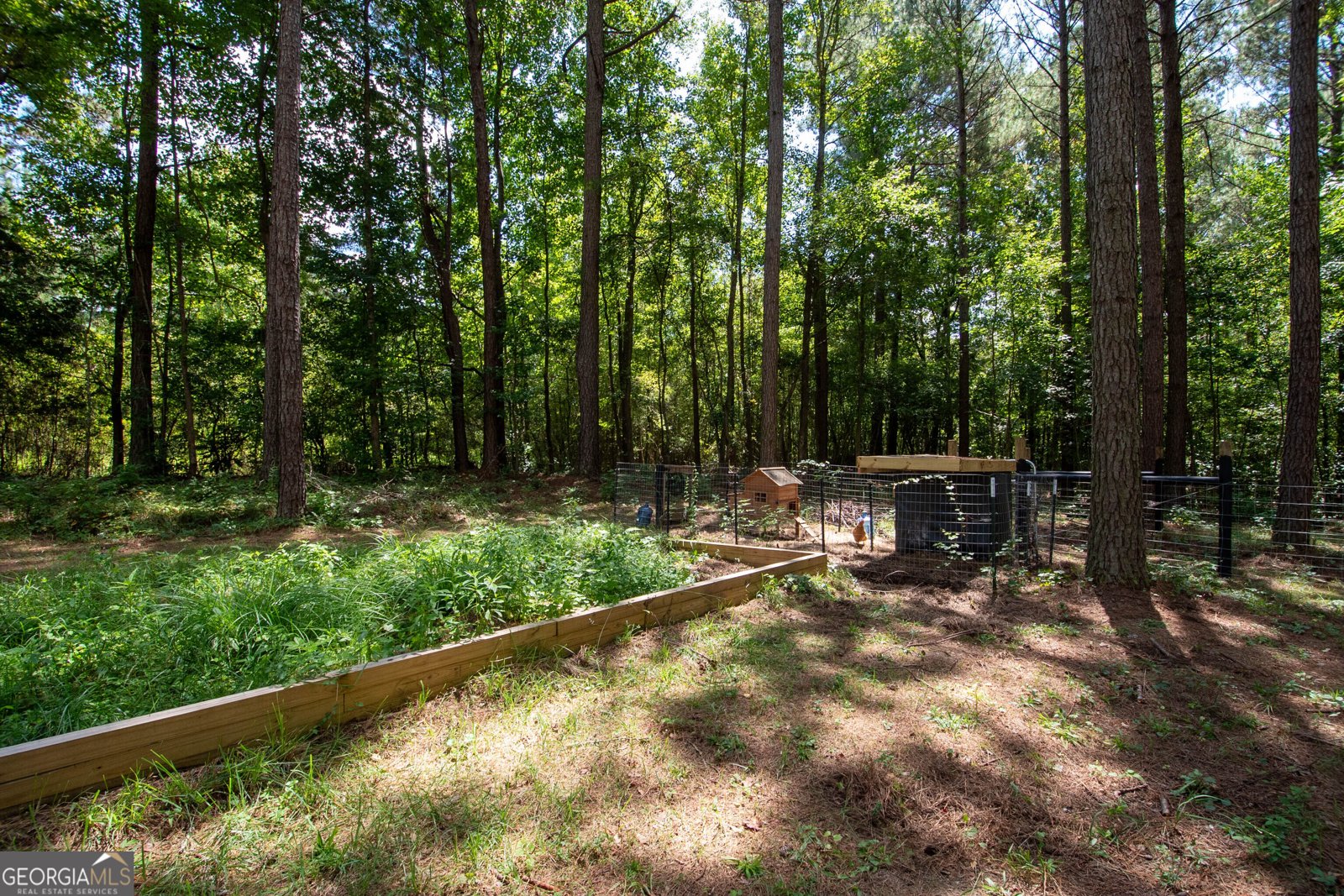 4079 Primrose Road Grantville - Photo 43