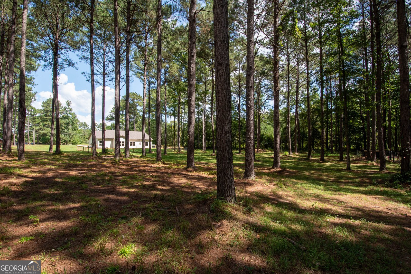 4079 Primrose Road Grantville - Photo 45