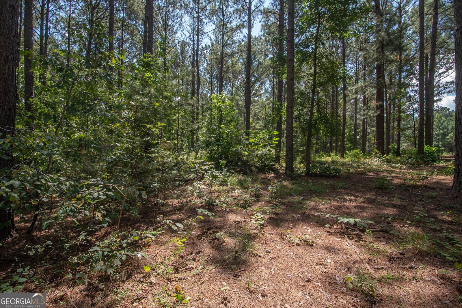 4079 Primrose Road Grantville - Photo 46