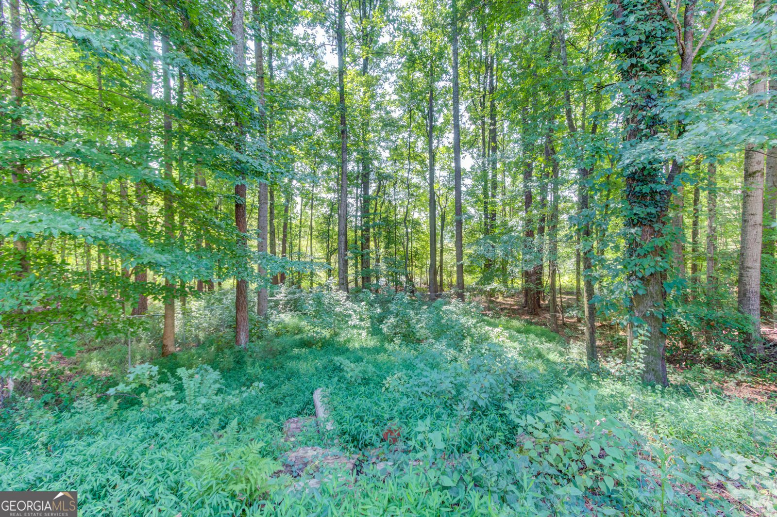 525 Clearwater Place Lawrenceville - Photo 44