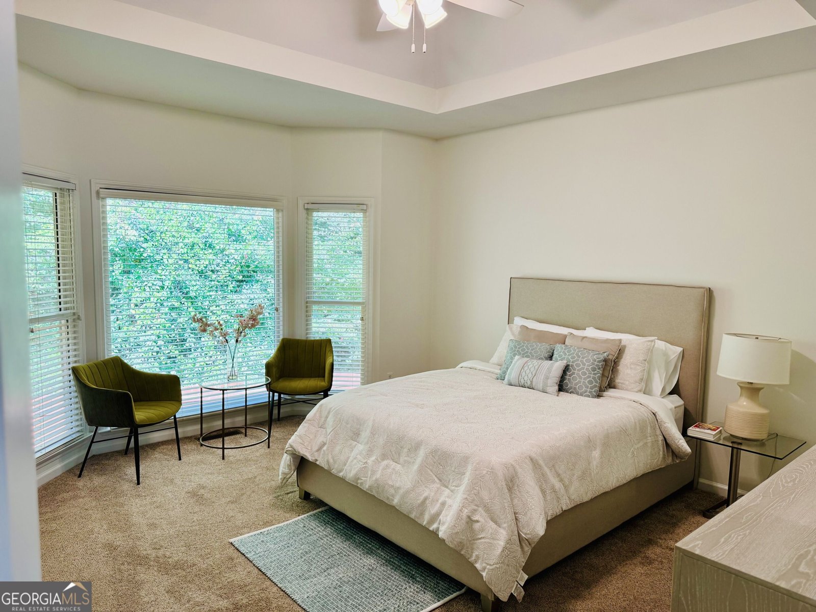 540 Battleview Drive Smyrna - Photo 3