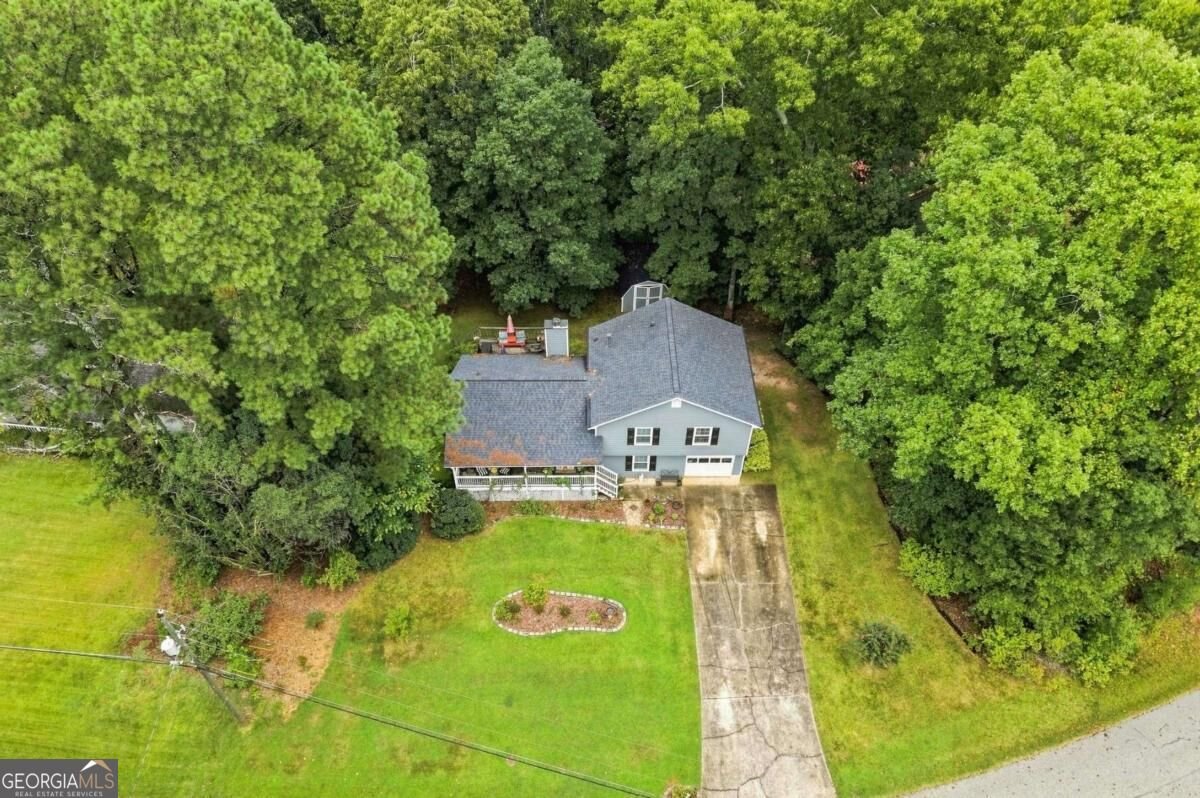 2488 Forestdale Drive Dacula - Photo 48