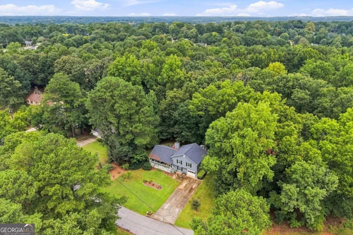 2488 Forestdale Drive Dacula - Photo 51