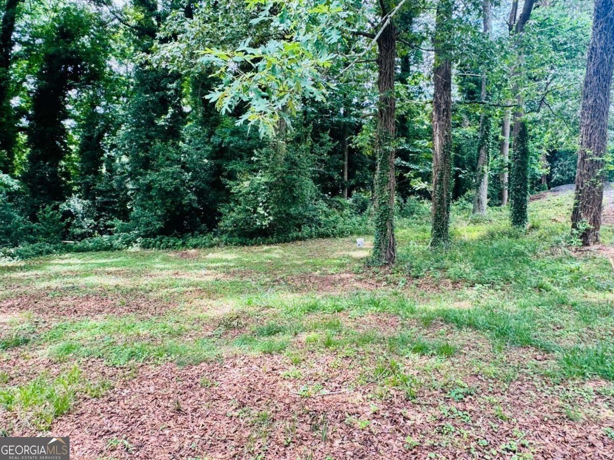 521 Navarre Drive Stone Mountain - Photo 9