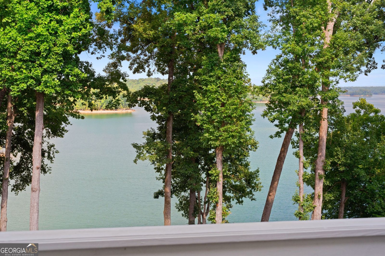 9230 Arbourlac Lane Gainesville - Photo 105