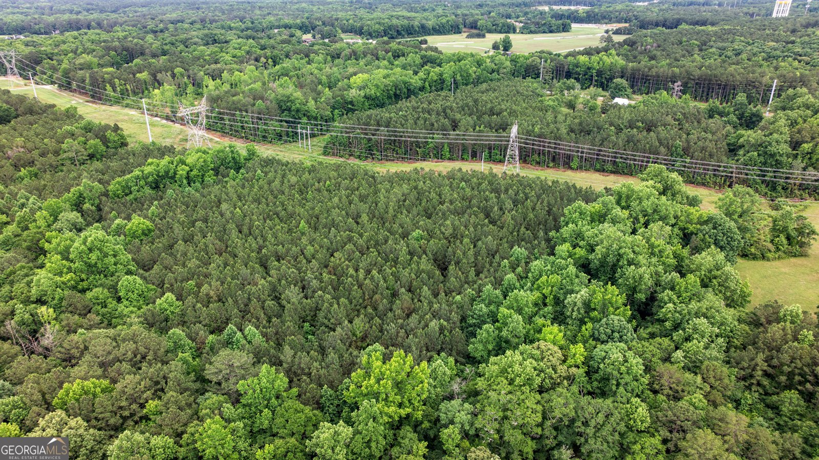 1329 Standing Rock Road Senoia - Photo 56