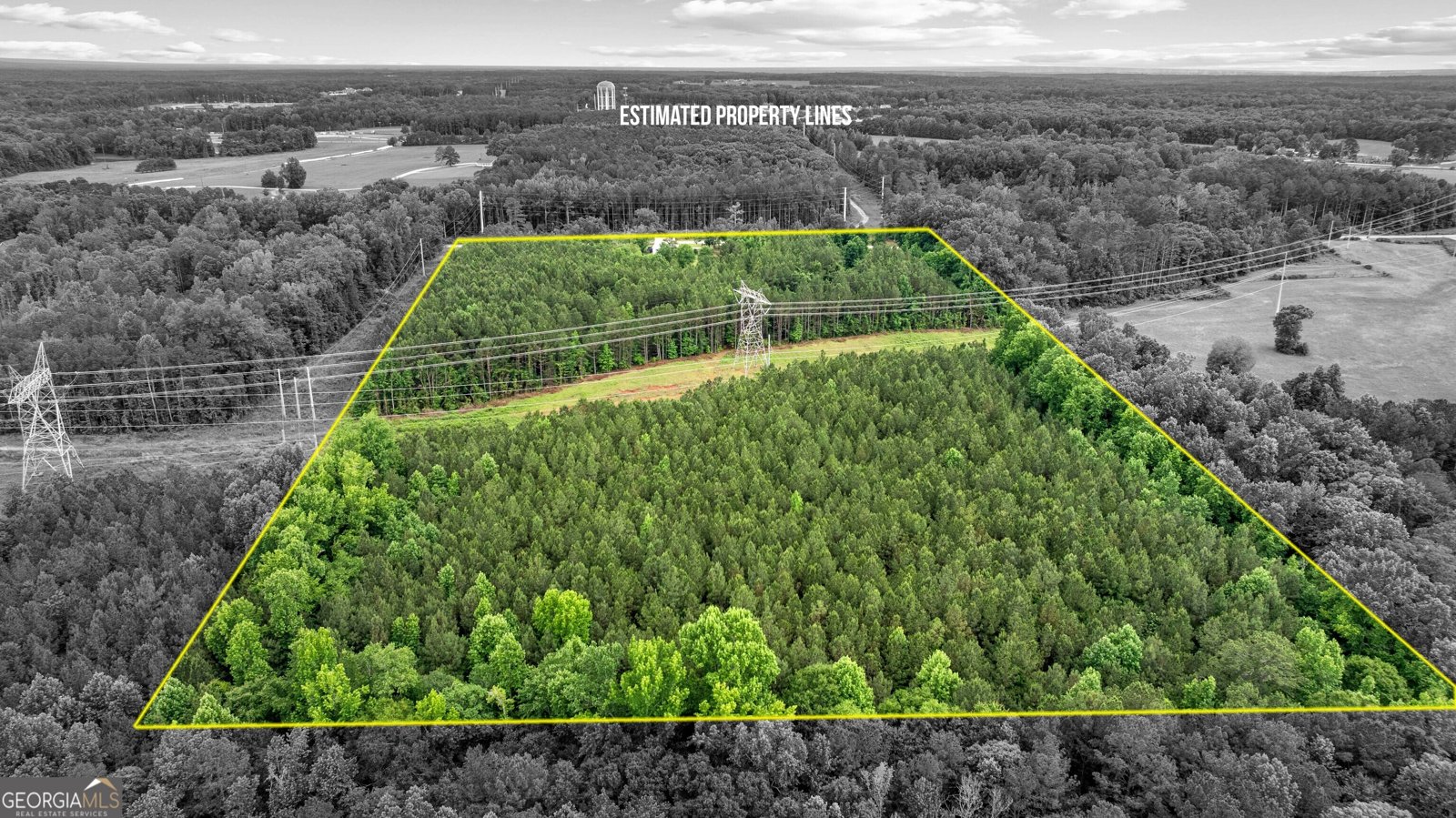 1329 Standing Rock Road Senoia - Photo 59