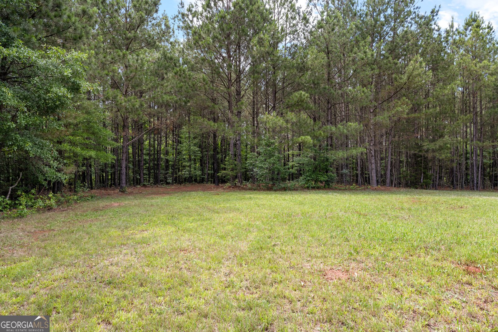 1329 Standing Rock Road Senoia - Photo 63