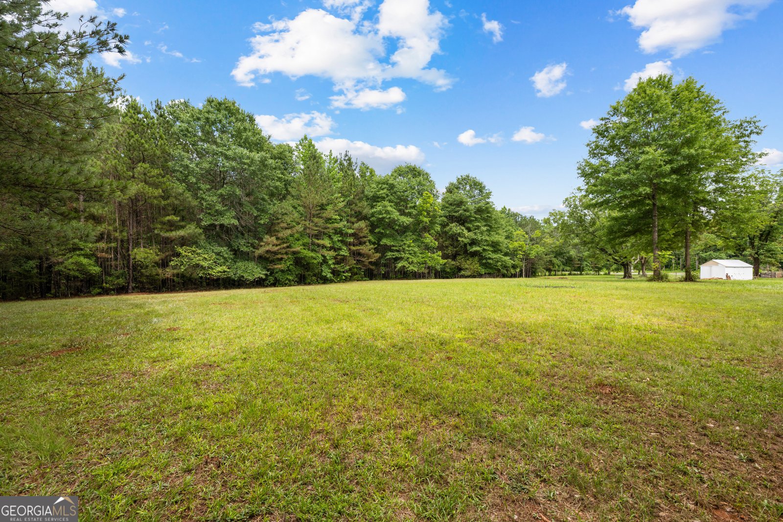 1329 Standing Rock Road Senoia - Photo 64