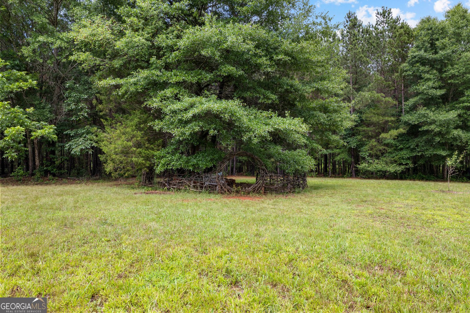 1329 Standing Rock Road Senoia - Photo 65