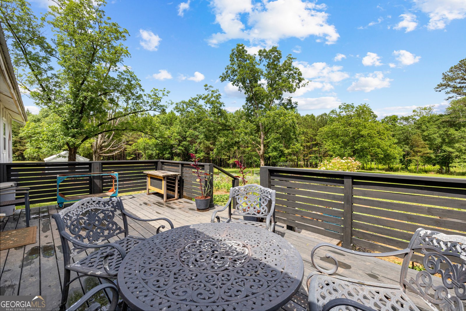 1329 Standing Rock Road Senoia - Photo 72