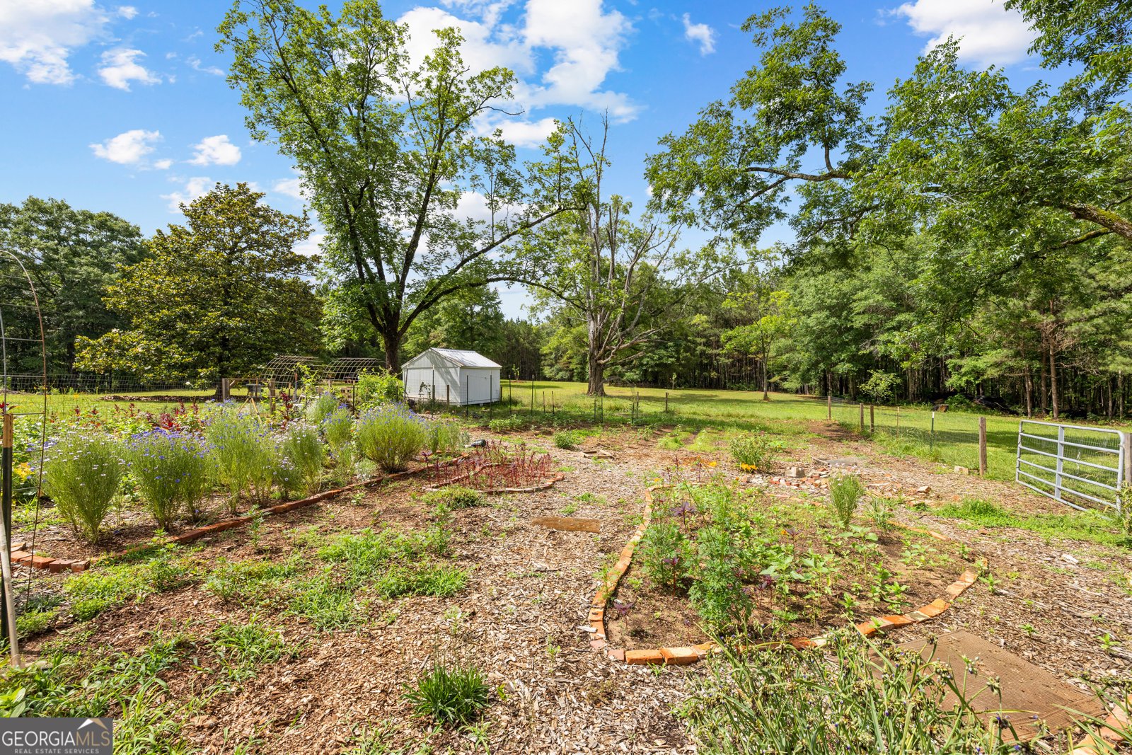 1329 Standing Rock Road Senoia - Photo 74