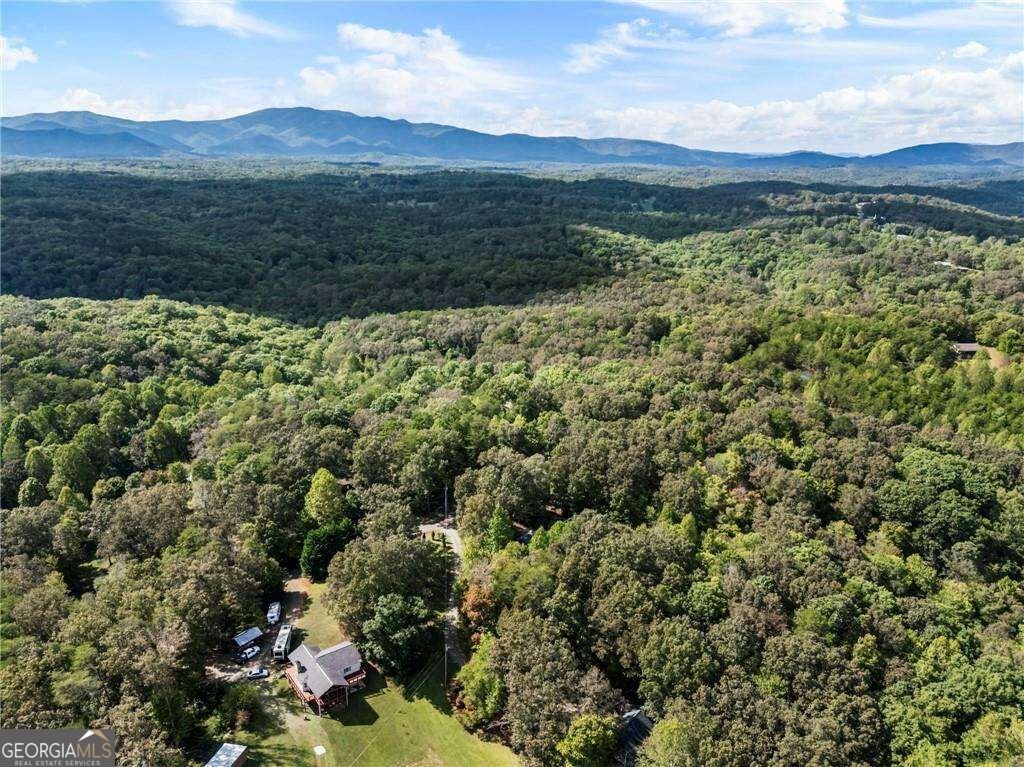 120 Brookhaven Trail Blue Ridge - Photo 80
