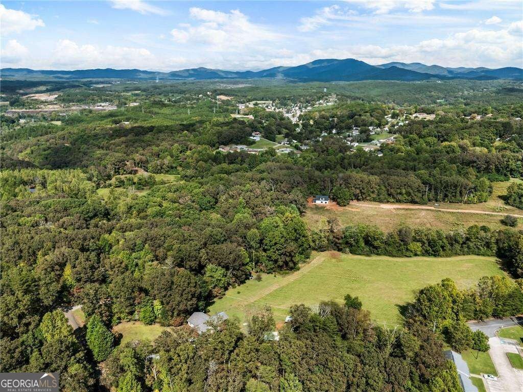 120 Brookhaven Trail Blue Ridge - Photo 82