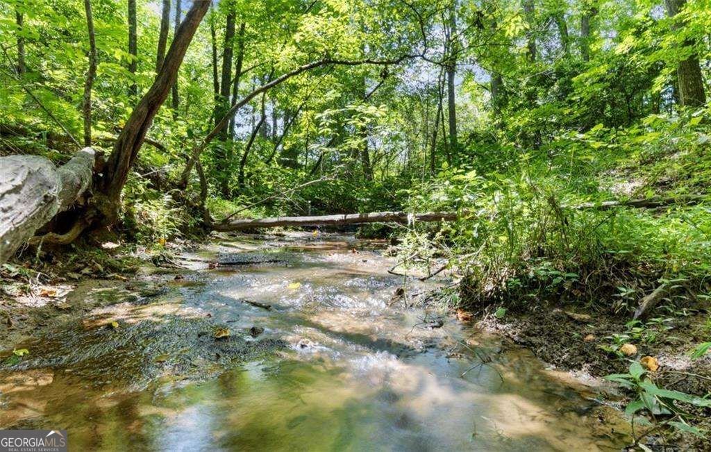 120 Brookhaven Trail Blue Ridge - Photo 88