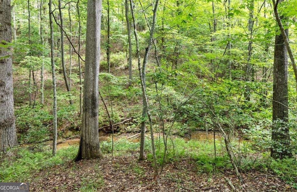 120 Brookhaven Trail Blue Ridge - Photo 89
