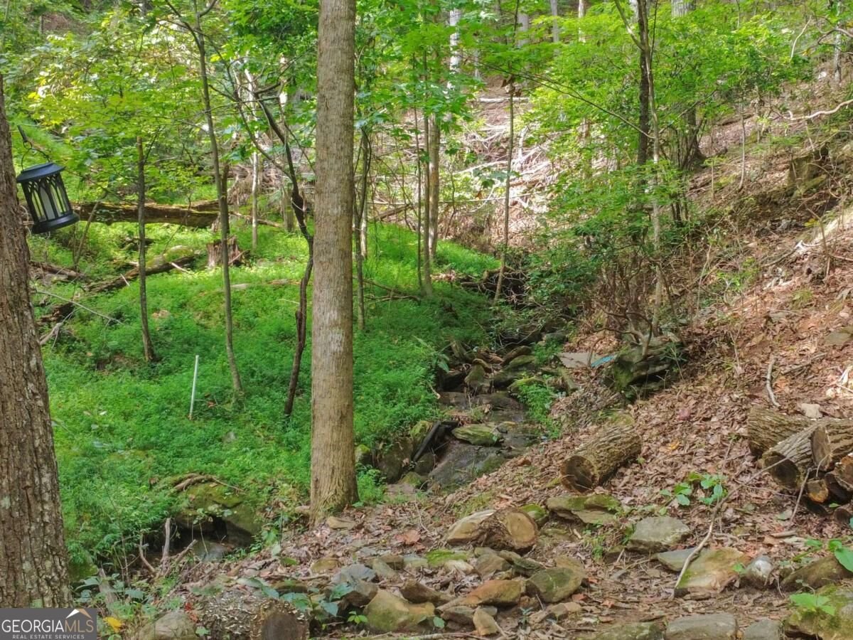87 Garden Lane Cleveland - Photo 39