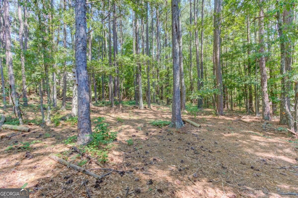507 Marcel Park Statham - Photo 28