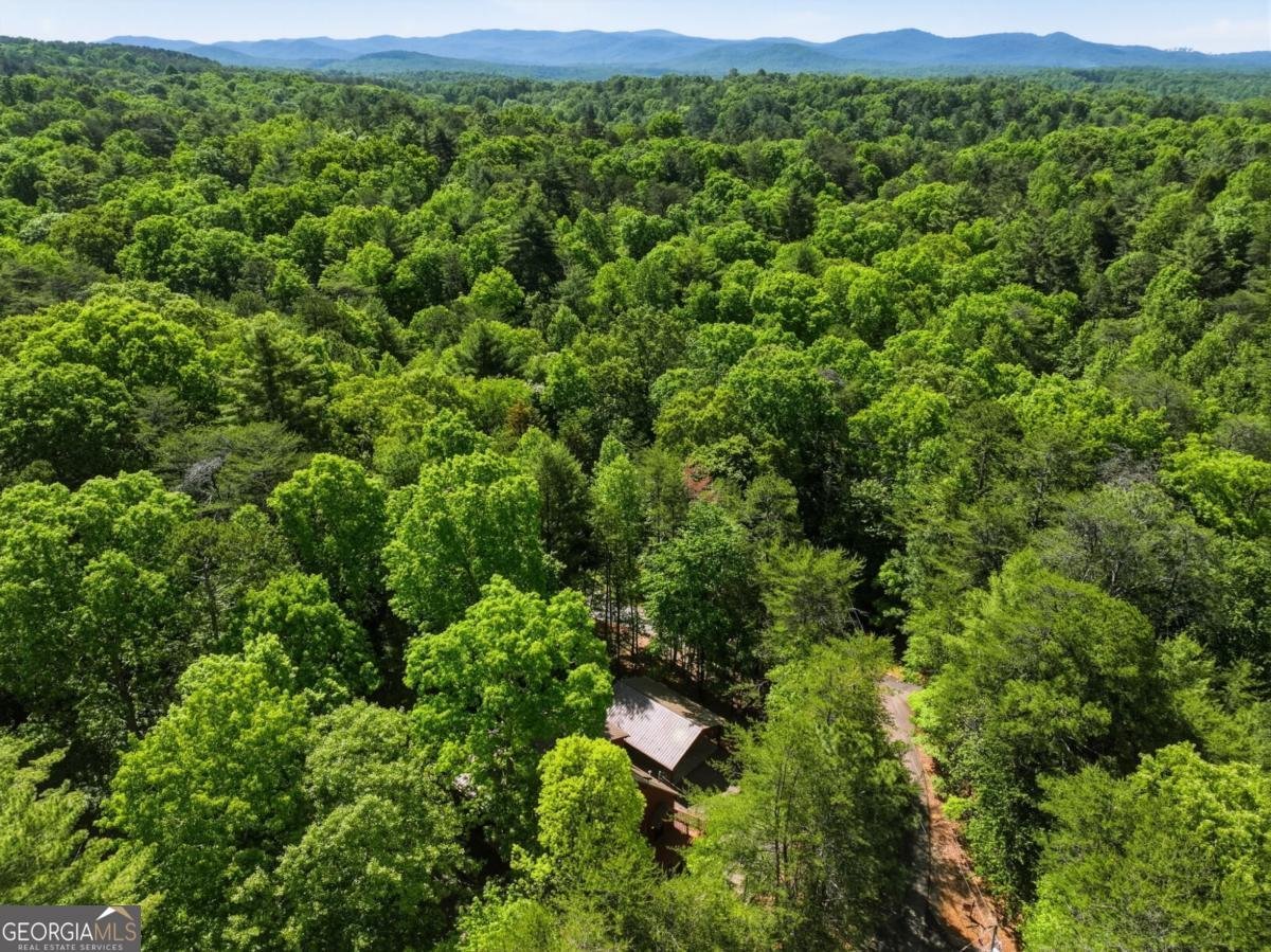 105 Blackberry Falls Court Ellijay - Photo 38