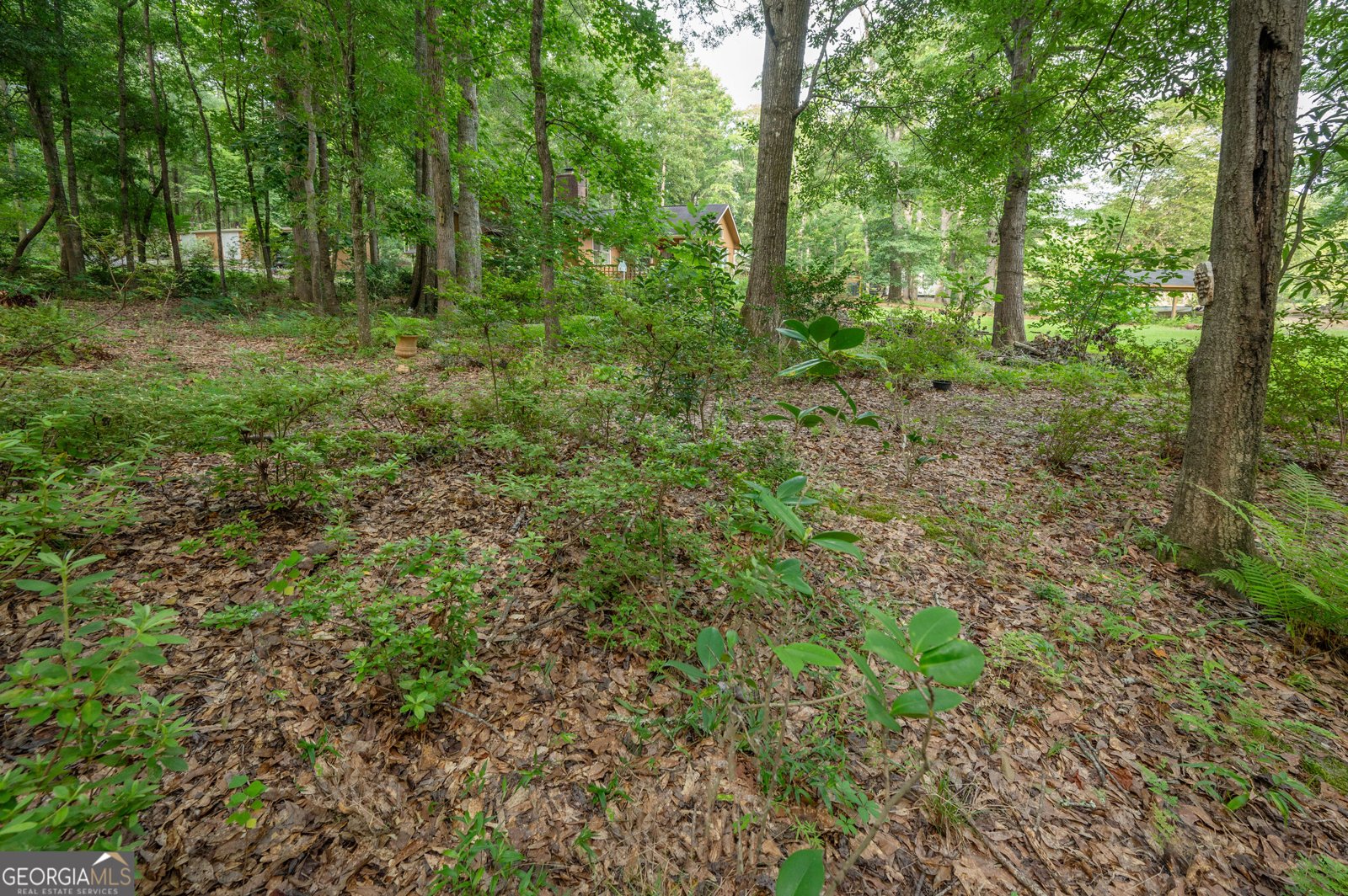 285 Dollar Road Hamilton - Photo 49