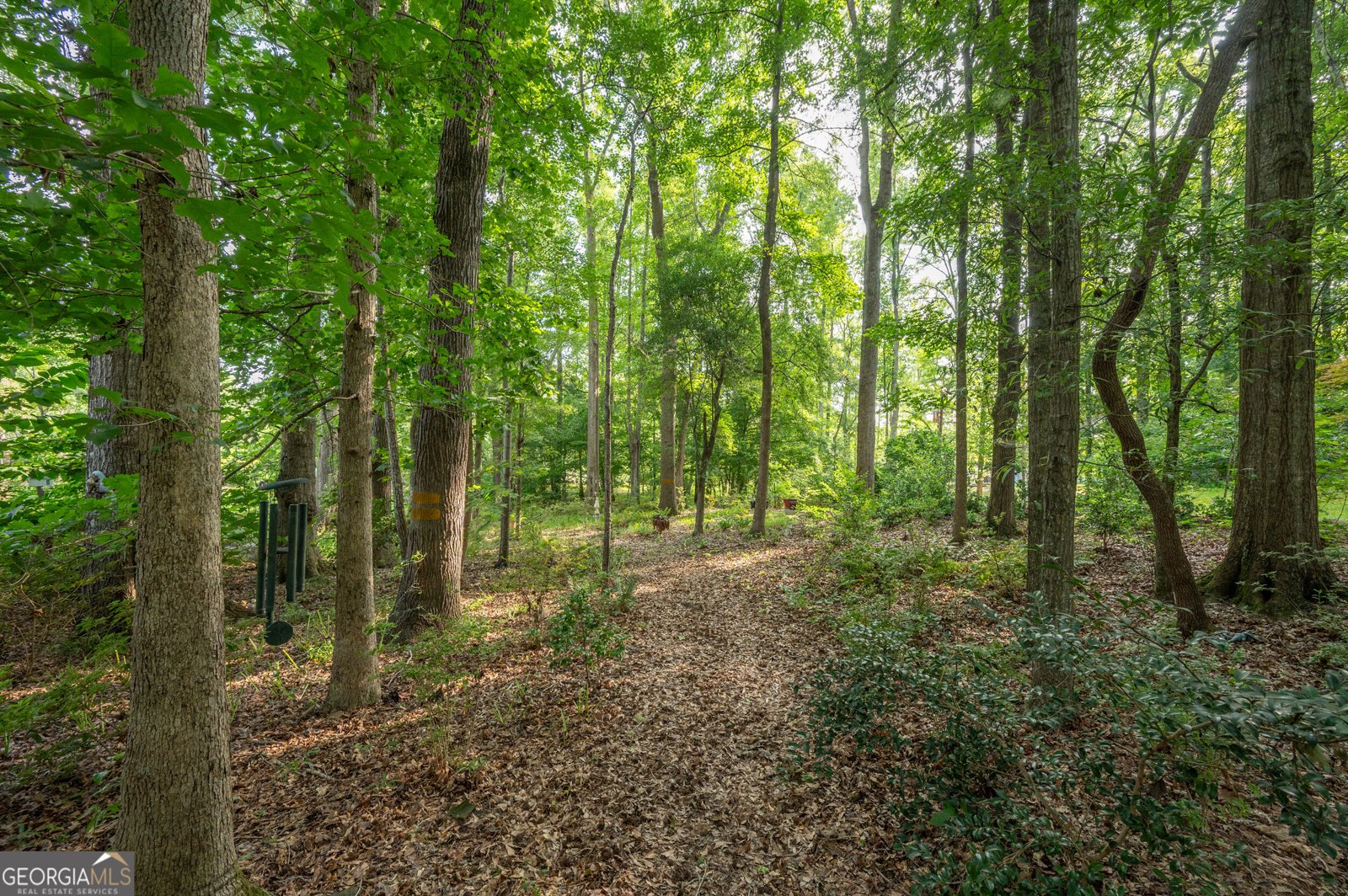 285 Dollar Road Hamilton - Photo 57