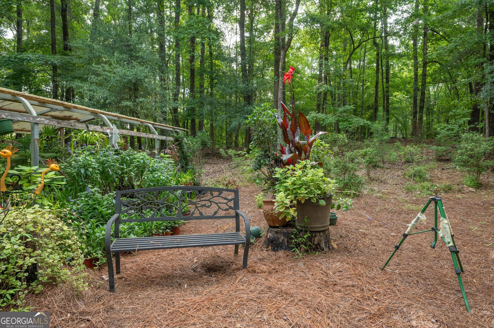 285 Dollar Road Hamilton - Photo 6