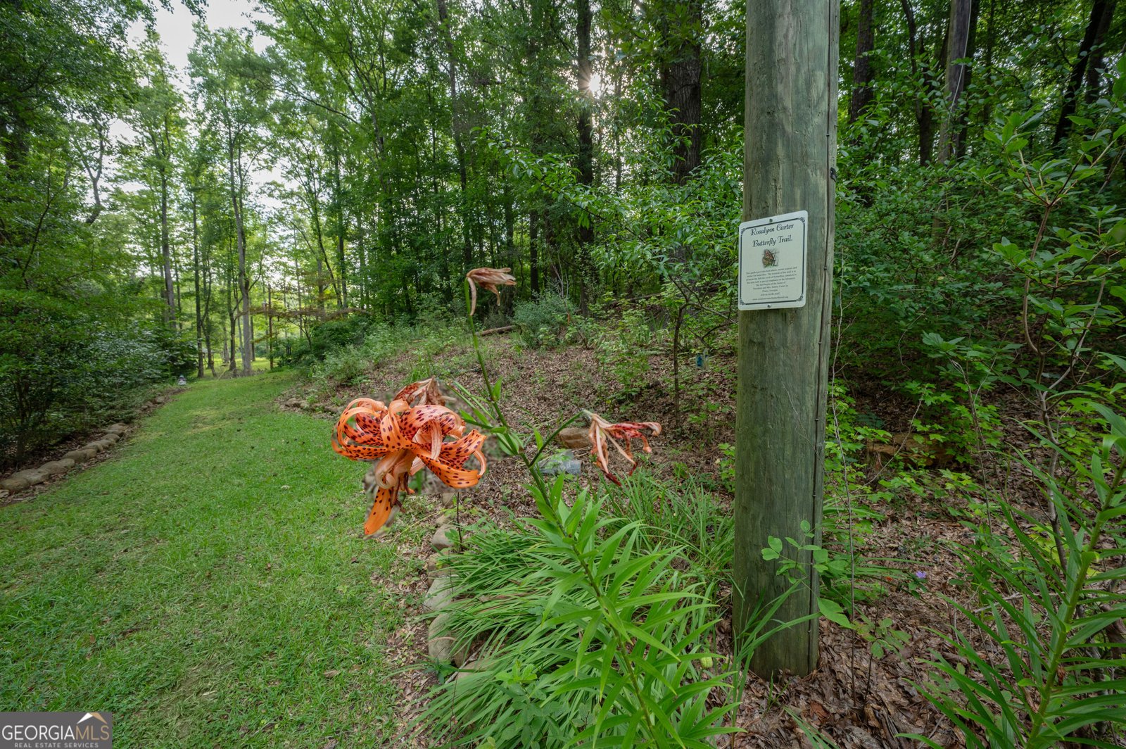 285 Dollar Road Hamilton - Photo 8