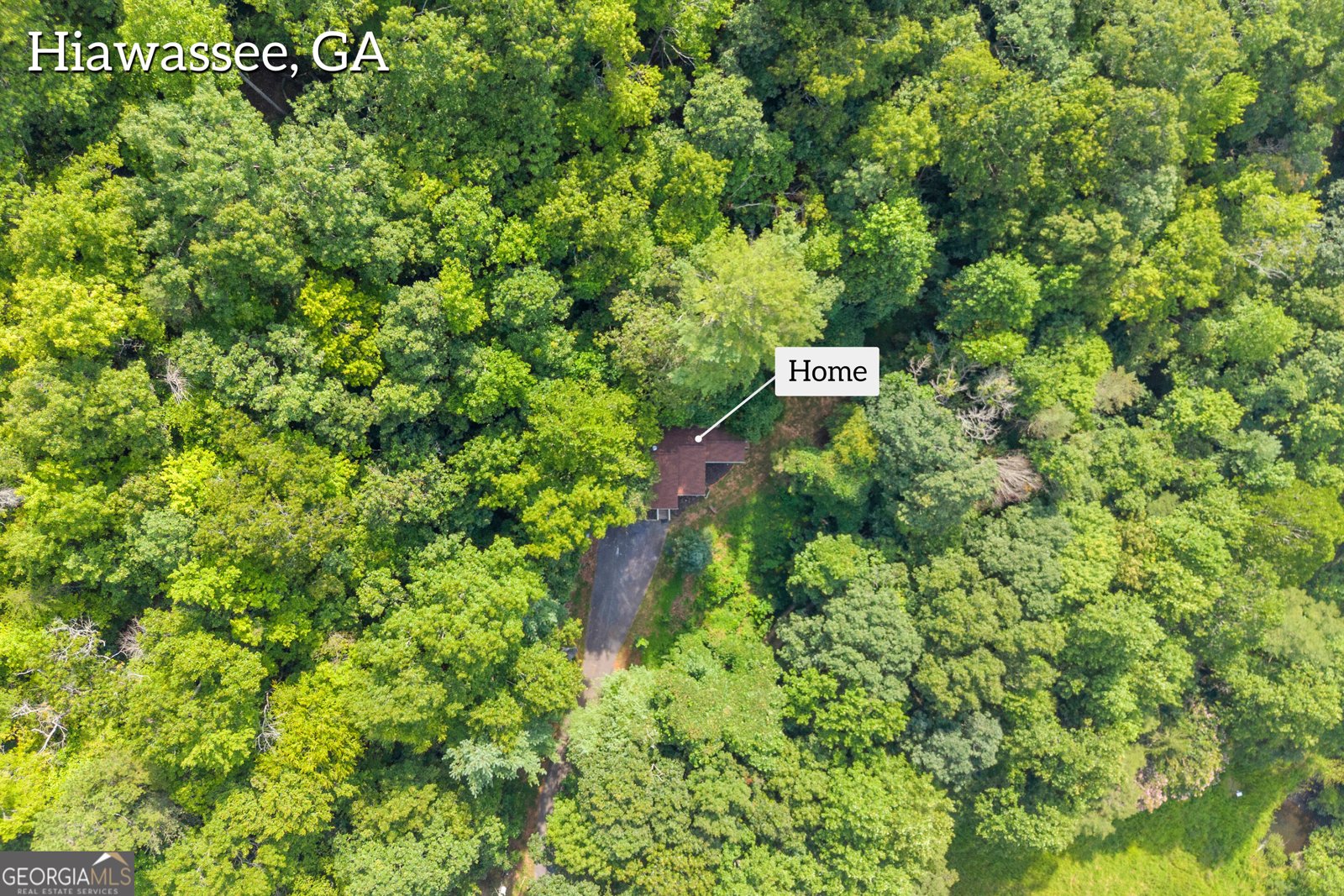 549 Travaden Trail Hiawassee - Photo 30