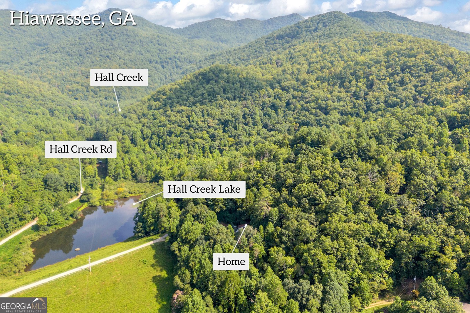 549 Travaden Trail Hiawassee - Photo 33